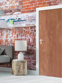 Paint Grade Veneer Flush Plywood Door